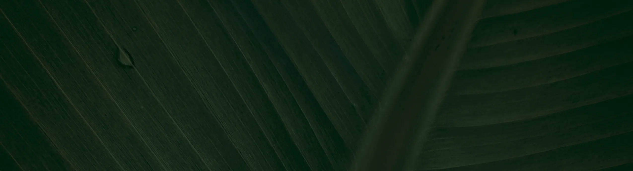 hero-image_optimized The Superleaf Monthly Greens Subscription