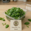 Basil Microgreens: The Gourmet Herb Reinvented