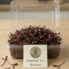 beetroot cut Beetroot Microgreens: The Natural Blood & Energy Booster