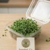 Broccoli Microgreens: The Ultimate Living Superfood