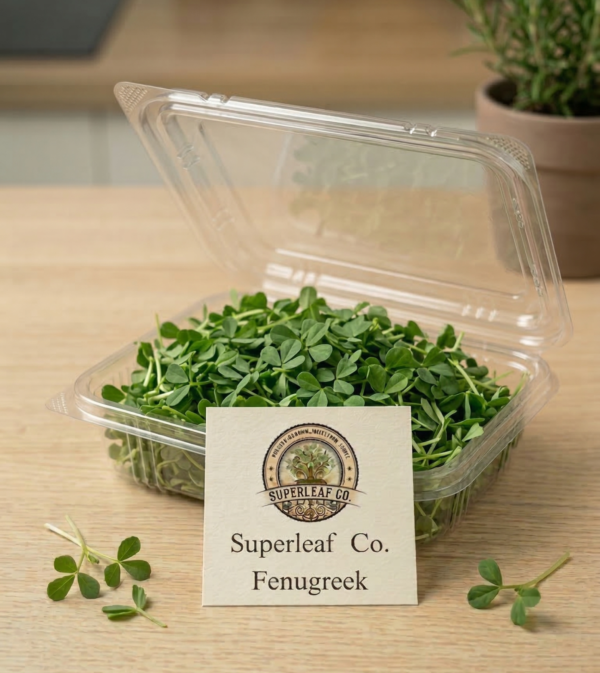 Fenugreek Microgreens: The Ancient Digestive Superfood