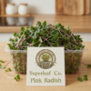 Pink Radish Microgreens: The Beauty of Wellness