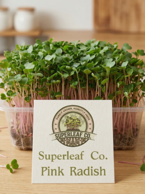 pink radish live Pink Radish Microgreens: The Beauty of Wellness