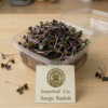 sango radish cut Sango Radish Microgreens – Bold Color, Spicy Flavor & Vitality